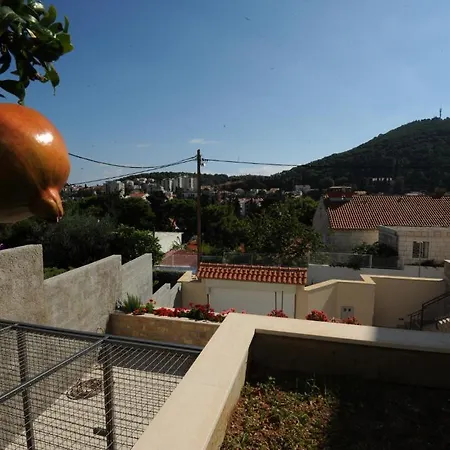 Anka * Dubrovnik